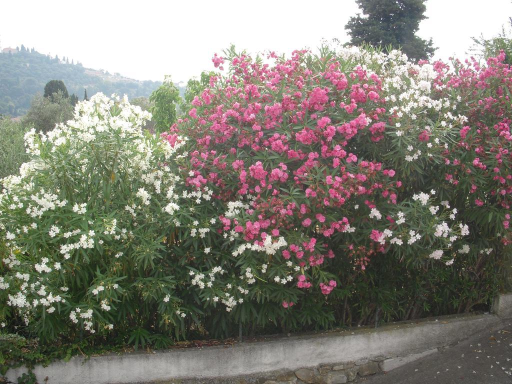 אימפריה Residence Hotel Edy מראה חיצוני תמונה